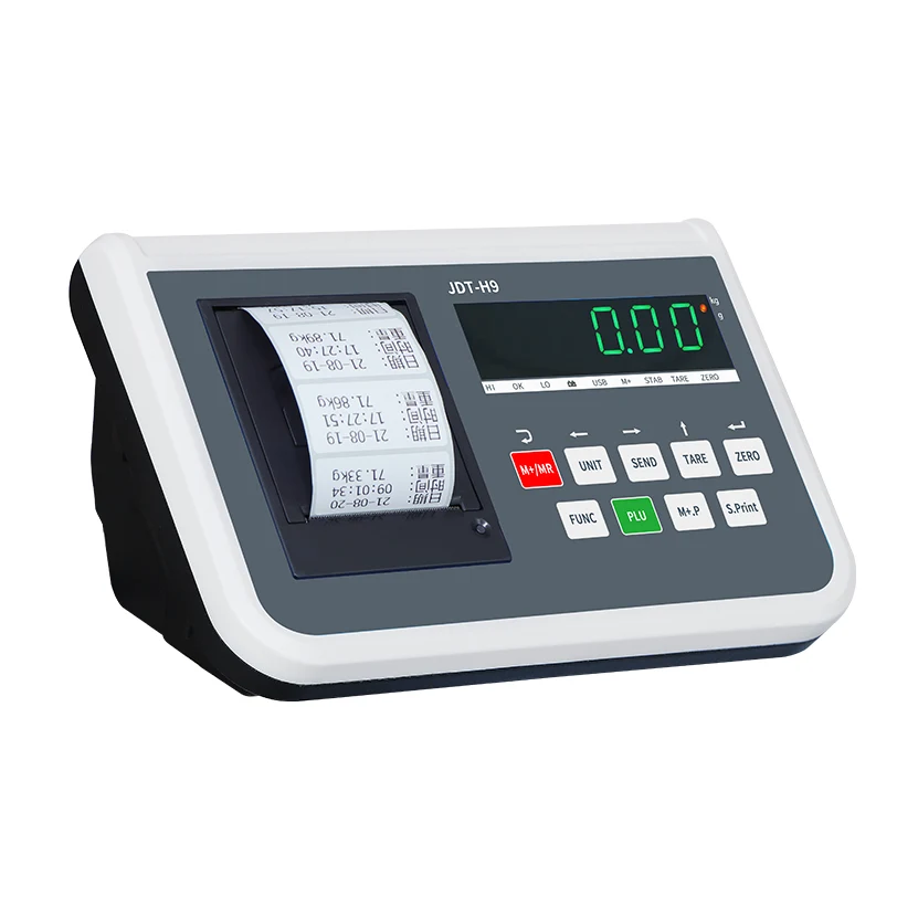 Electronic Weighing Printing Instrument