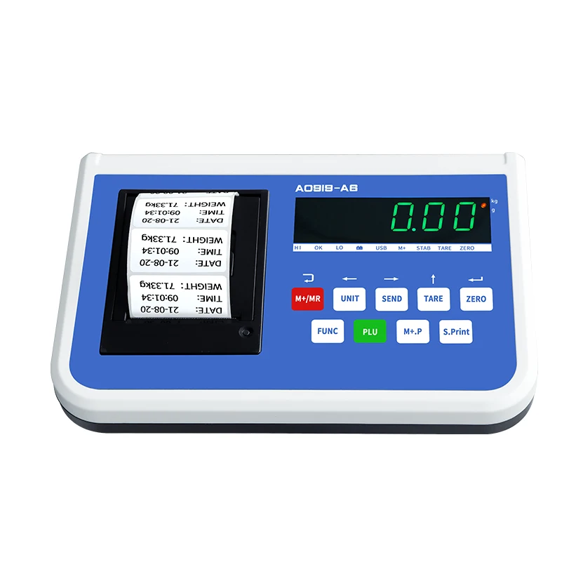 Electronic Weighing Printing Instrument